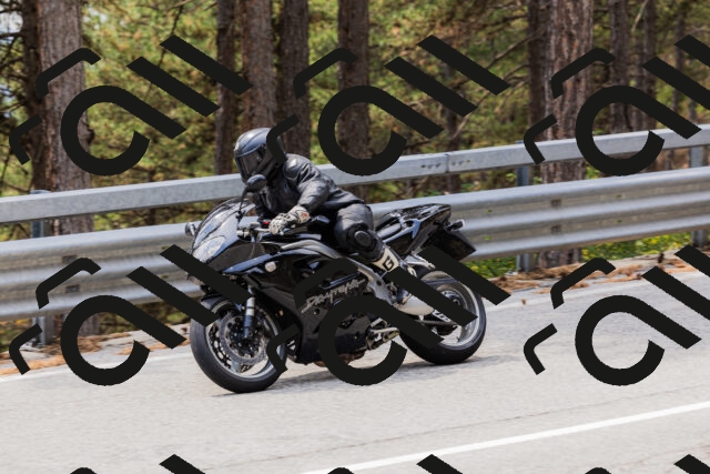 202508161307-_04A1407_c3