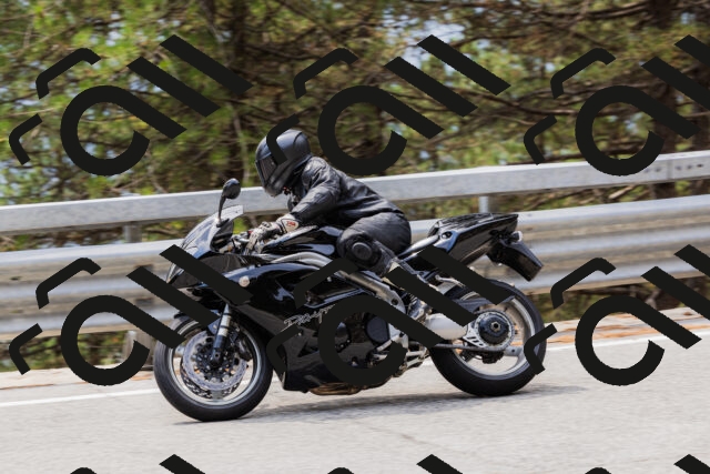 202508161307-_04A1408_c3