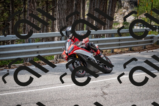 202508161302-DSC_5661_c2