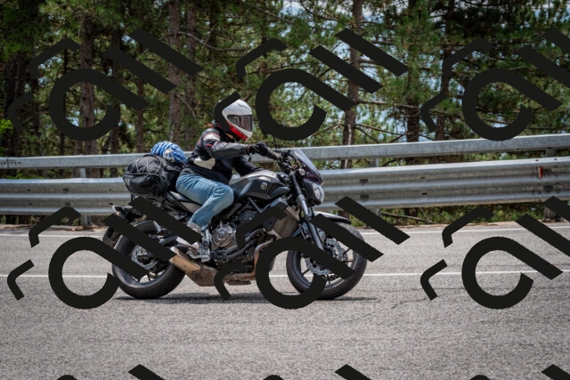 202508161303-DSC_5667_c2