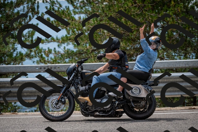 202508161303-DSC_5676_c2