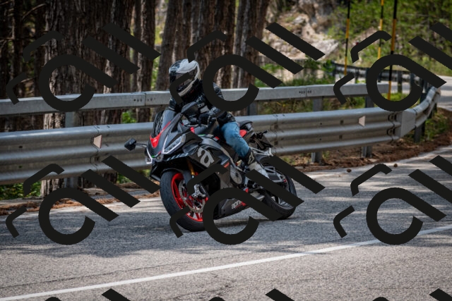 202508161307-DSC_5689_c2