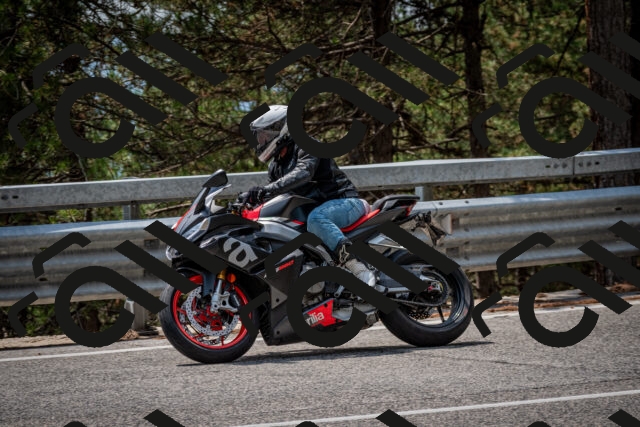 202508161307-DSC_5690_c2