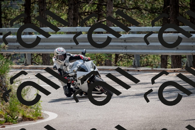 202508161307-DSC_5692_c2