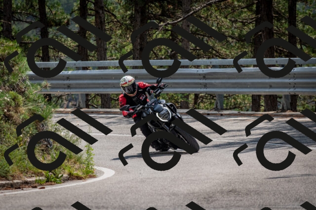 202508161309-DSC_5711_c2