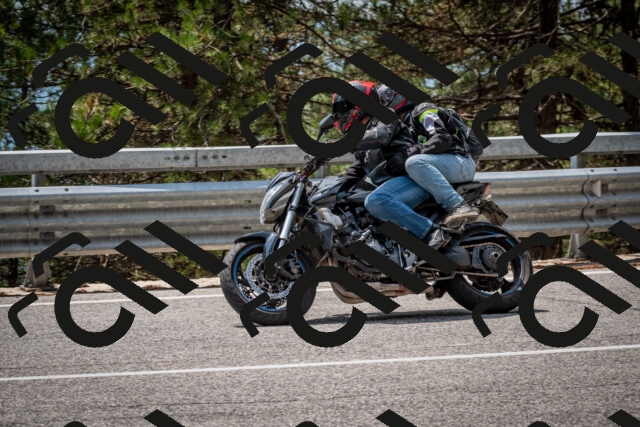 202508161311-DSC_5726_c2