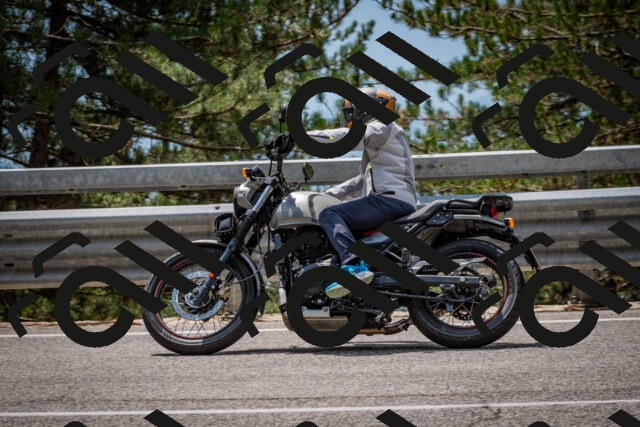 202508161312-DSC_5742_c2