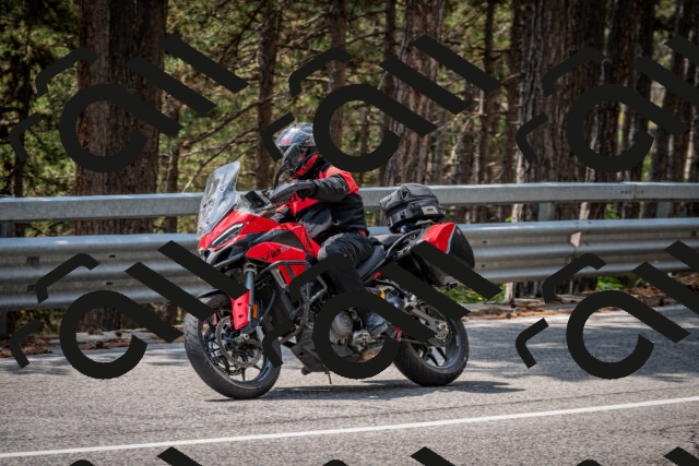 202508161312-DSC_5747_c2