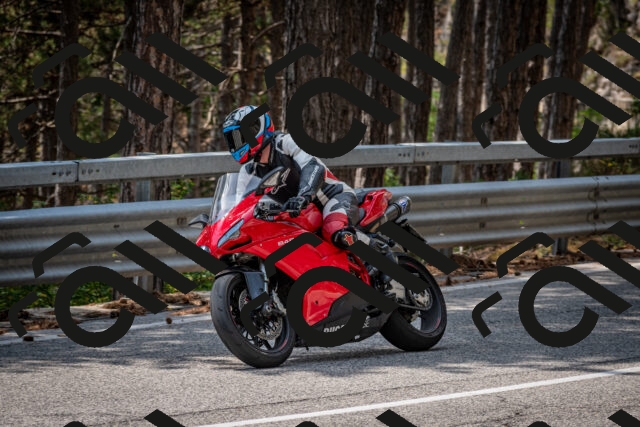 202508161313-DSC_5750_c2