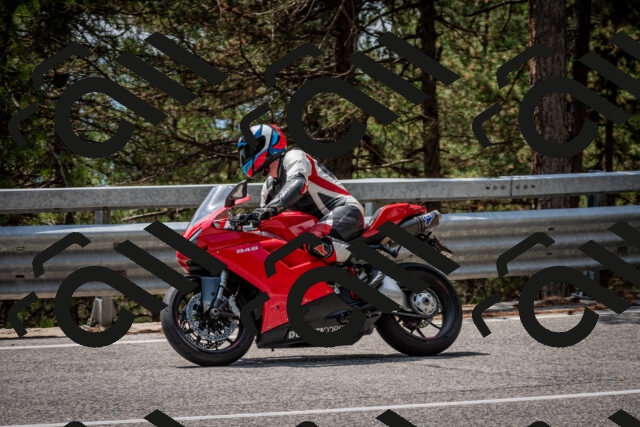 202508161313-DSC_5751_c2