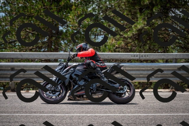 202508161317-DSC_5764_c2