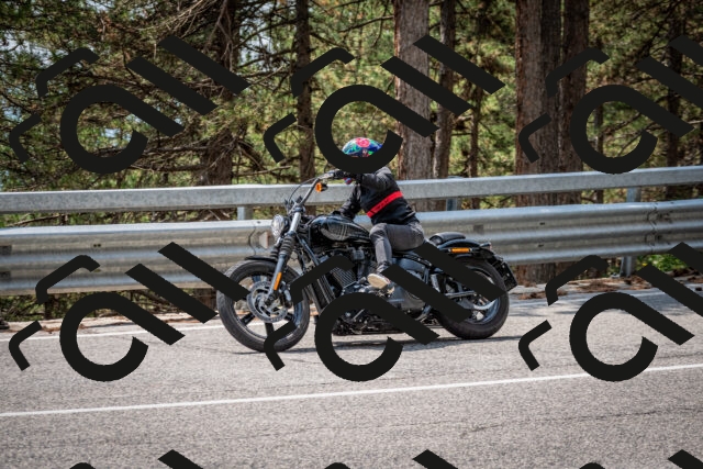 202508161318-DSC_5770_c2