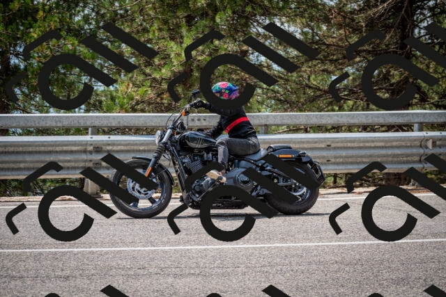 202508161318-DSC_5771_c2