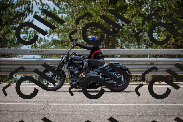 202508161318-DSC_5772_c2