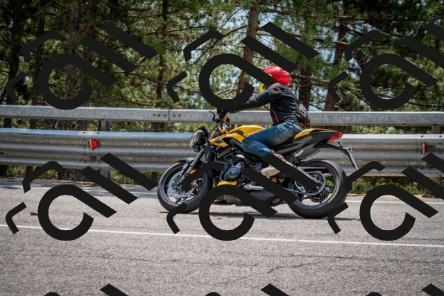 202508161318-DSC_5775_c2