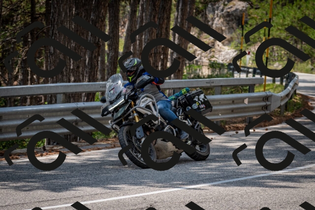 202508161320-DSC_5776_c2