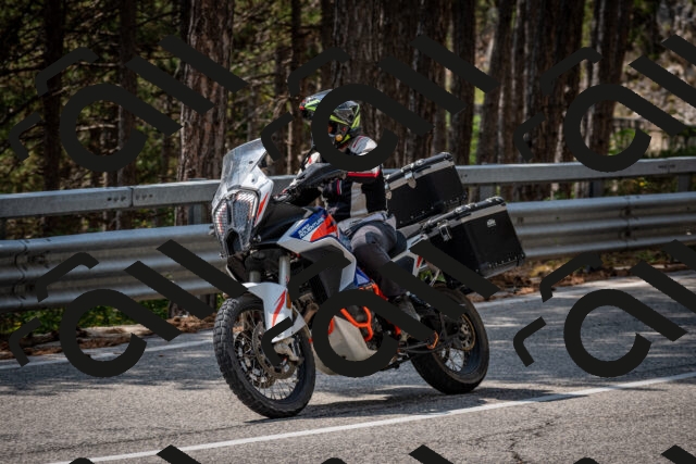 202508161321-DSC_5781_c2