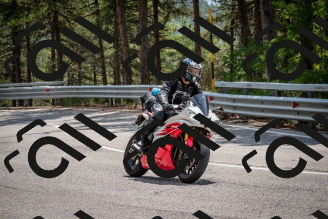 202508161324-DSC_5785_c2