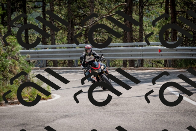 202508161325-DSC_5788_c2