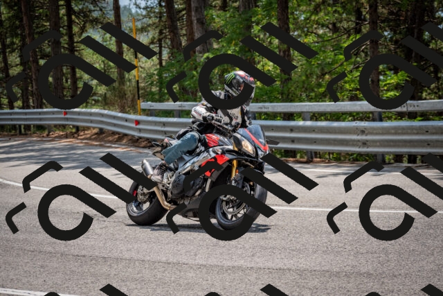 202508161326-DSC_5790_c2