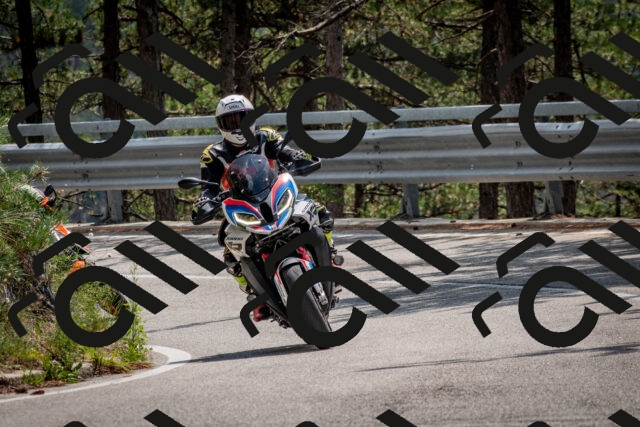 202508161327-DSC_5796_c2