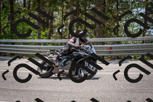 202508161328-DSC_5804_c2