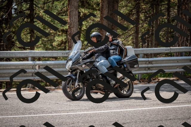 202508161332-DSC_5815_c2