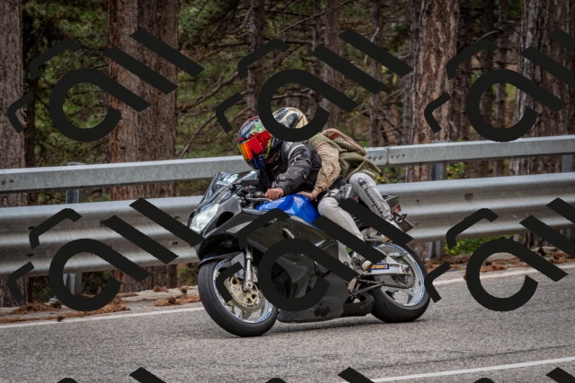 202508161335-DSC_5828_c2