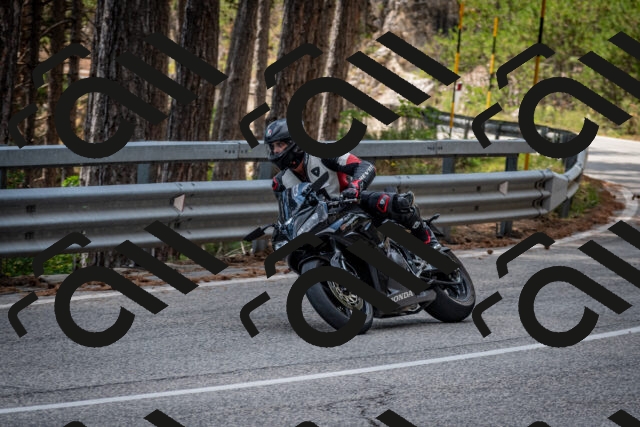 202508161335-DSC_5830_c2