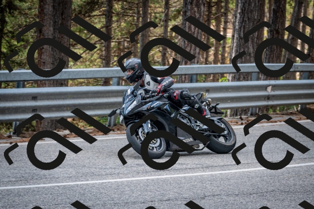 202508161335-DSC_5831_c2