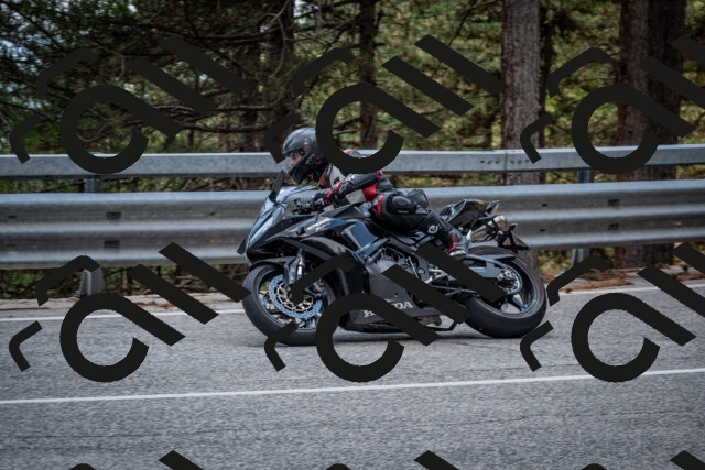 202508161335-DSC_5832_c2