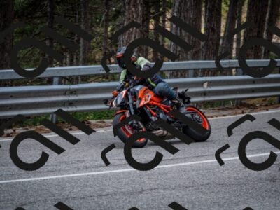 202508161335-DSC_5837_c2