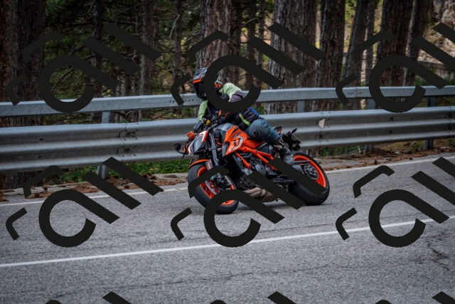 202508161335-DSC_5837_c2