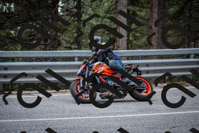 202508161335-DSC_5838_c2