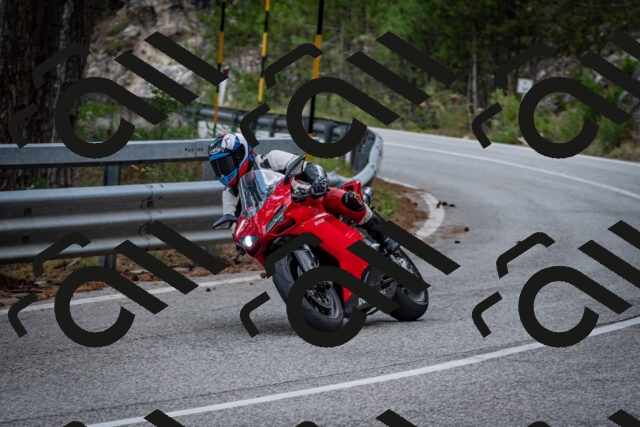 202508161336-DSC_5840_c2