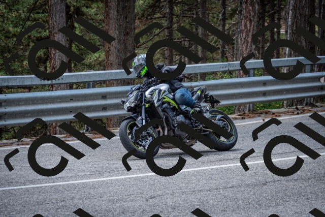 202508161343-DSC_5861_c2