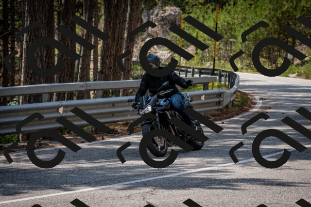 202508161355-DSC_5881_c2