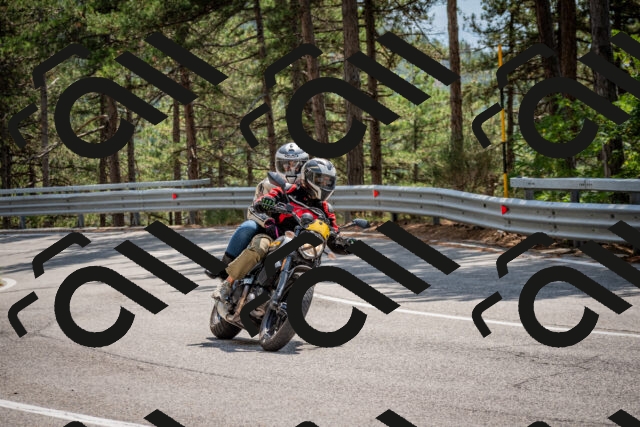 202508161355-DSC_5885_c2