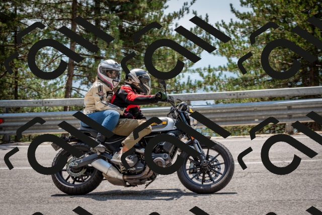 202508161355-DSC_5886_c2