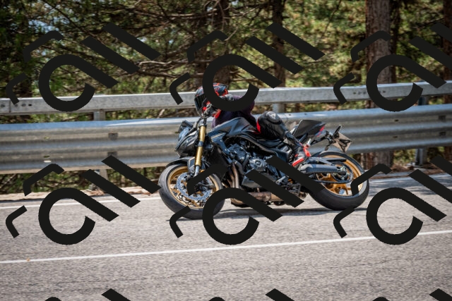 202508161356-DSC_5888_c2