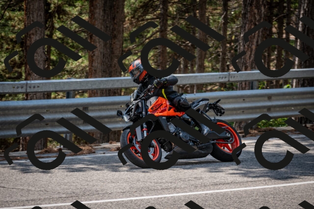 202508161356-DSC_5890_c2