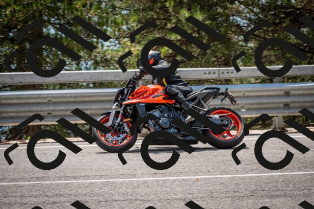 202508161356-DSC_5891_c2