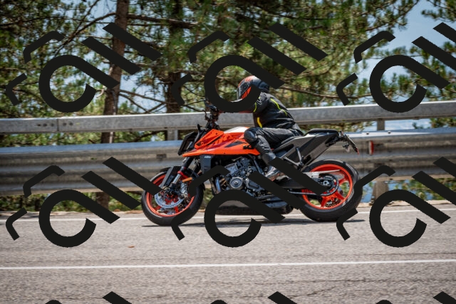 202508161356-DSC_5892_c2