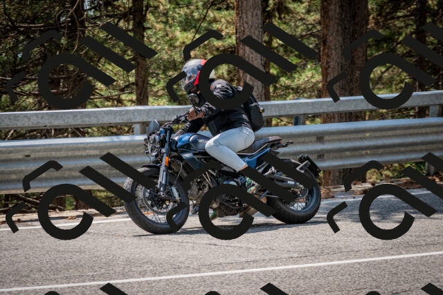 202508161357-DSC_5899_c2