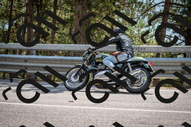 202508161357-DSC_5904_c2