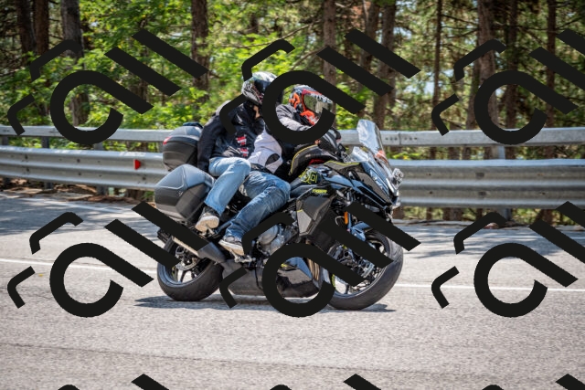 202508161403-DSC_5921_c2