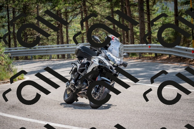 202508161405-DSC_5933_c2