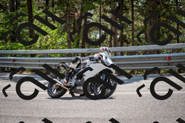 202508161405-DSC_5936_c2