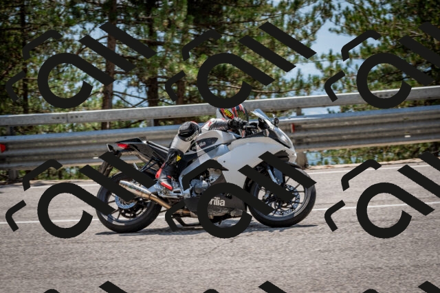 202508161405-DSC_5937_c2