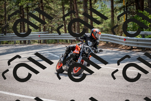 202508161408-DSC_5939_c2